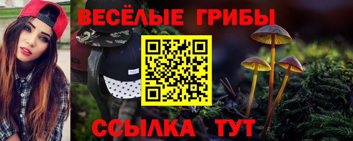 Волхов  Галлюциногенные грибы Magic Shrooms  Псилоцибиновые грибы Cubensis  Вход с VPN 