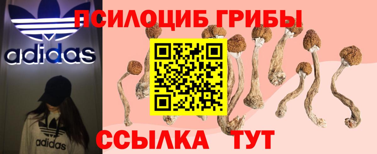 Галлюциногенные грибы Cubensis Волхов