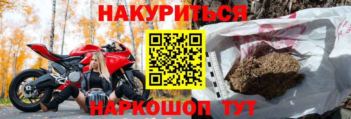 Каннабис семена  Вход с VPN  МАРИХУАНА Bruce Banner  Волхов  Конопля гибрид 